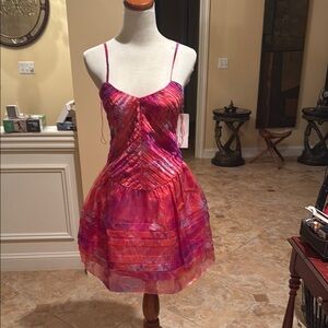 Adrianna Pappell Pink and Purple Dress